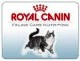 Royal Canin dla kotów jeszcze taniej