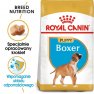 Royal Canin Boxer Puppy karma sucha dla szczeniąt do 15 miesiąca, rasy bokser 12kg