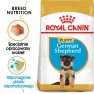 Royal Canin German Shepherd Puppy karma sucha dla szczeniąt do 15 miesiąca, rasy owczarek niemiecki 3kg