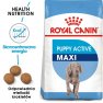 Royal Canin Maxi Puppy Active karma sucha dla szczeniąt ras dużych o wyższym zapotrzebowaniu energetycznym 15kg