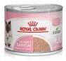 Royal Canin Mother & Babycat Mousse karma mokra - mus dla kociąt i kotek karmiących puszka 195g