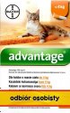 Bayer Advantage dla kota do 4kg - roztwór przeciwko pchłom - 4 pipety w opakowaniu