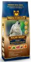 Wolfsblut Dog Polar Night renifer i dynia 2kg
