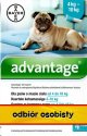 Bayer Advantage dla psa 4-10 kg 1ml - roztwór przeciwko pchłom - 4 pipety w opakowaniu