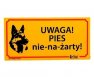 Dingo Tabliczka ostrzegawcza "Uwaga! Pies nie-na-żarty!"