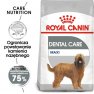 Royal Canin Maxi Dental Care karma sucha dla psów dorosłych, ras dużych, redukująca powstawanie kamienia nazębnego 9kg